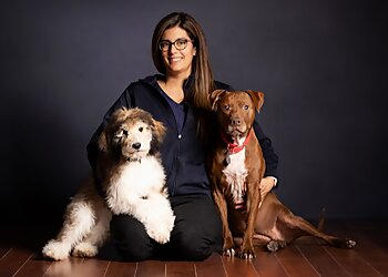 Shawinigan veterinary clinic Clinique Vétérinaire Passionimo Grand-Mère