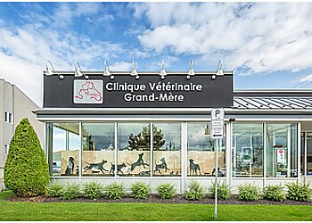 Shawinigan veterinary clinic CLINIQUE VÉTÉRINAIRE PASSIONIMO GRAND-MÈRE image 1