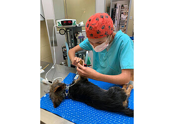 Granby veterinary clinic Clinique Vétérinaire Principale