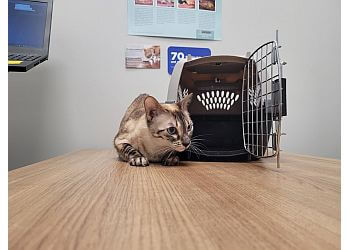 Levis Cliniques Vétérinaires Clinique Vétérinaire St-Jean-Chrysostome