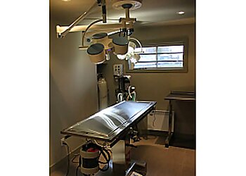 Drummondville veterinary clinic Clinique Vétérinaire St-Onge Inc.