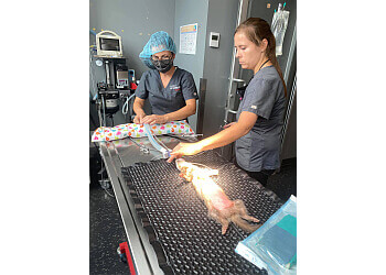 Repentigny Cliniques Vétérinaires Clinique Vétérinaire Valmont