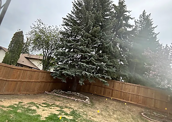 CQ Contracting - St Albert, AB Fencing Contractors - Maintenance Service Image