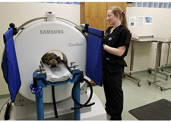 Edmonton veterinary clinic Crestwood Veterinary Centre
