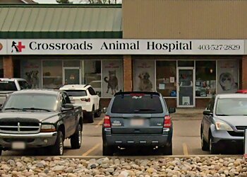 Medicine Hat veterinary clinic Crossroads Animal Hospital image 1