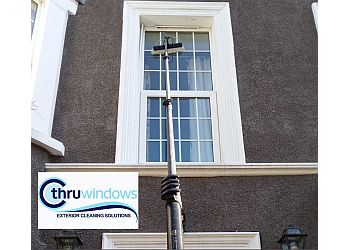 Pickering window cleaner CTHRU
