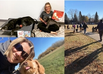 St Albert Dresseurs De Chiens CW Canine Consulting Inc.