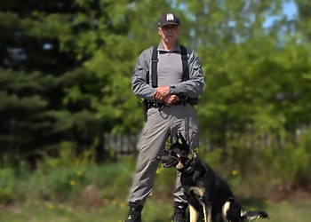 Caissie Canine Instruction - Ajax, ON Dog Trainers - Dog Trainer Image