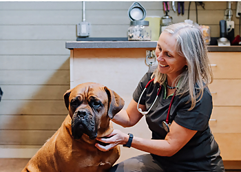 Caledon Mountain Veterinary Hospital - Caledon, ON Veterinary Clinics - Staff Image