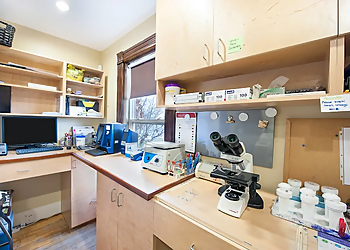 Caledon Mountain Veterinary Hospital - Caledon, ON Veterinary Clinics - Clinic Interior Image