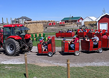 Calgary Farmyard - Calgary, AB Amusement Parks - Outdoor Activity Image
