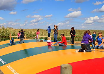 Calgary Farmyard Calgary Farmyard - Calgary, AB Amusement Parks - Attraction Image