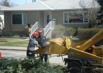 Calgary tree service Calgary Tree Experts Inc.