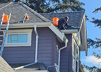 Abbotsford gutter cleaner Callaghan's Softwash