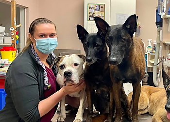 Cambrian Animal Hospital - Sudbury, ON Cliniques Vétérinaires - Service Highlights