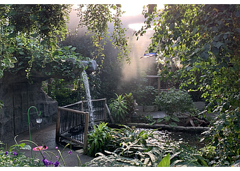 Cambridge Attraction touristiques Cambridge Butterfly Conservatory