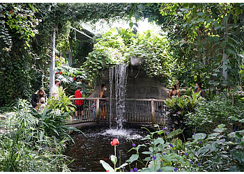 Cambridge Attraction touristiques Cambridge Butterfly Conservatory
