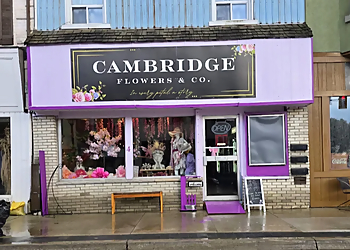 Cambridge Flowers & Co. - Cambridge, ON Florists - Business Exterior Image