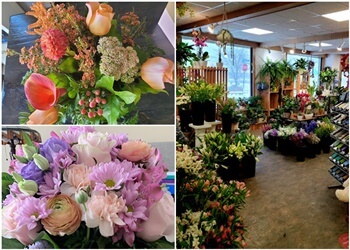 Kitchener florist Camerons Flower Shop