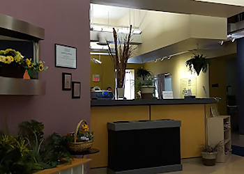 Camino Wellbeing + Mental Health - Kitchener, ON Marriage Counselling - Reception Area Image