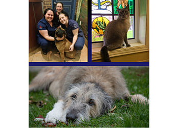 Guelph Cliniques Vétérinaires Campus Estates Animal Hospital