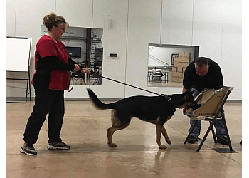 Canadian Canine Training