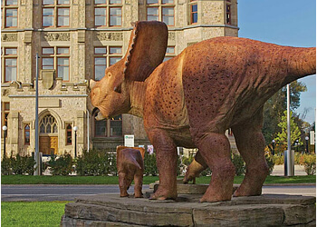 Ottawa Attraction touristiques Canadian Museum of Nature