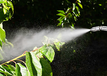Canadian Pest Control - Thunder Bay, ON Pest Control - Spraying Image