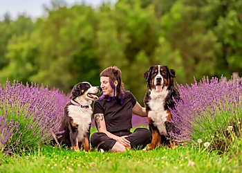 Canilogique-Centre D'éducation Canine - Sherbrooke, QC Dog Trainers - Dog Trainer Image