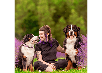 Sherbrooke dog trainer Canilogique-Centre D'éducation Canine