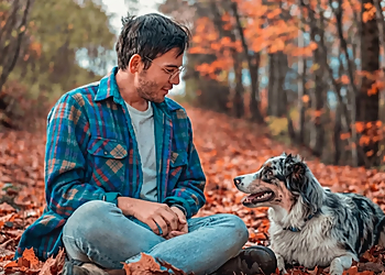 Canilogique-Centre D'éducation Canine - Sherbrooke, QC Dog Trainers - Dog Image