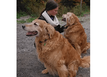 Sherbrooke dog trainer Canilogique-Centre D'éducation Canine image 1