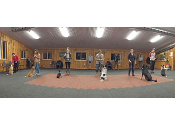 Milton dog trainer Canine Academy