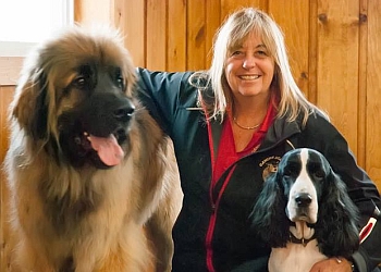 Canine Academy