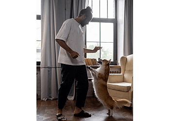 Sherwood Park dog trainer Canine Addiction