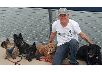 Burlington dog trainer Canine Balance Training Inc.