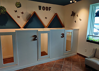 Canine Center Des Ruisseaux - Laval, QC Dog Trainers - Play Area Image