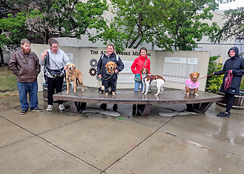 Kamloops dog trainer Canine Connection Dog Training