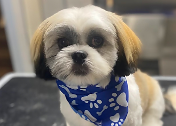 Canine Corner Grooming - Pickering, ON Pet Grooming - Service Highlights