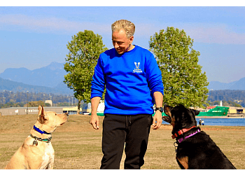 Vancouver Dresseurs De Chiens Canine Solutions Dog Training