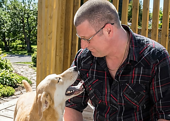 Canine United Professional Dog Services Canine United Professional Dog Services - Langley, BC Dog Trainers - Dog Training Image