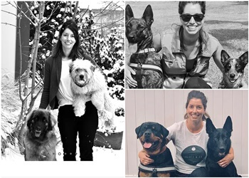 Kelowna Dresseurs De Chiens Canines & Co.