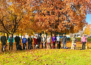 Canines & Co. Canines & Co. - Kelowna, BC Dresseurs De Chiens - Training Staff Image