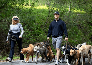 Delta dog trainer Canines Moving Forward