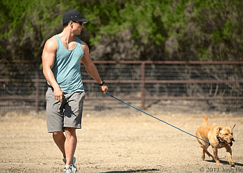 Delta dog trainer Canines Moving Forward