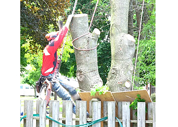 Guelph Services d'arboriculteur Capella Tree Service