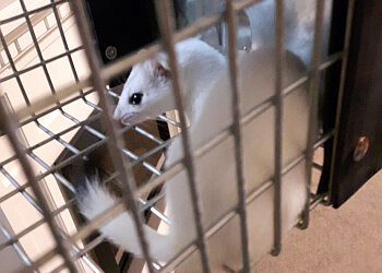 Grande Prairie Services d'extermination de parasites Caplan Environmental, Ltd.