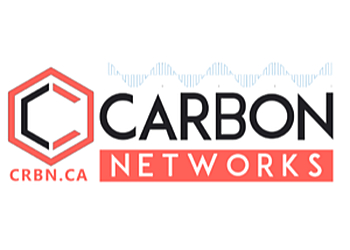 Carbon Networks Delta it service Carbon Networks