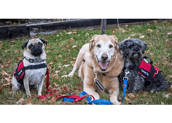 Prince George dog trainer Caring K9 Institute