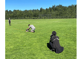 North Vancouver Dresseurs De Chiens Cascadia Dog Training
